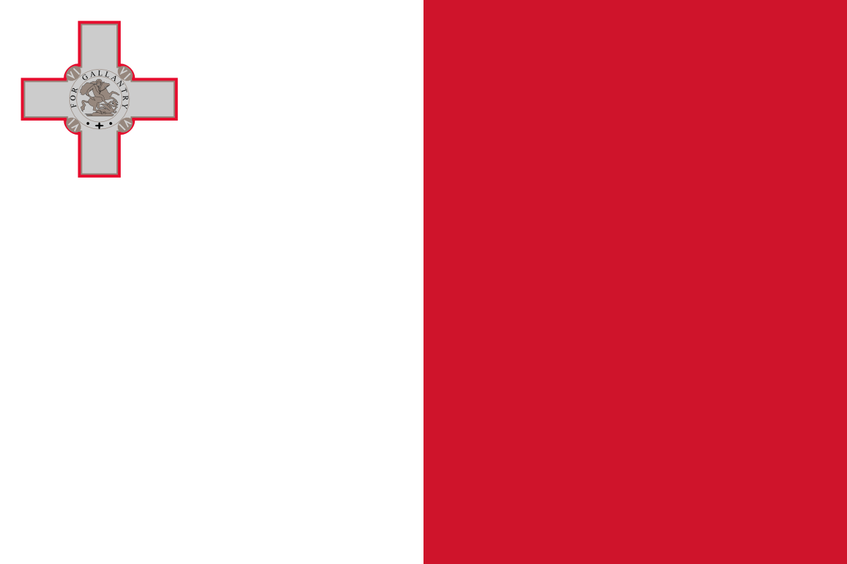 MT_flag